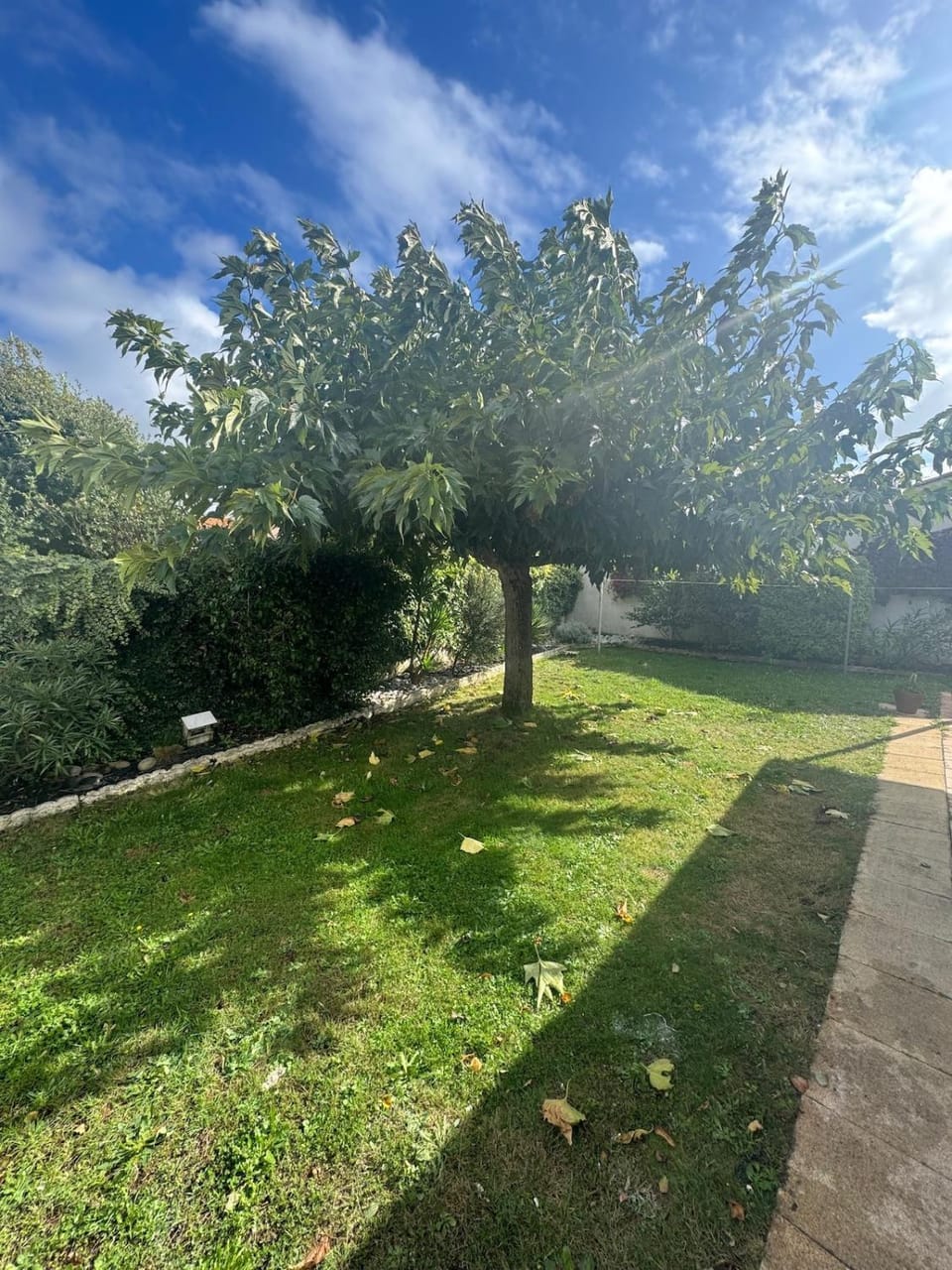 Natural landscape, Garden