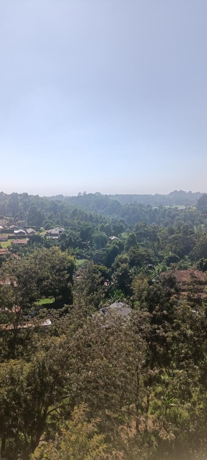 Natural landscape, Bird's eye view