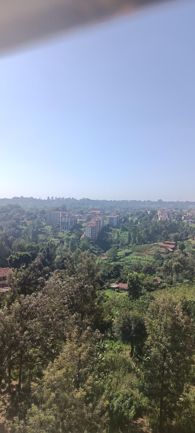 Natural landscape, Bird's eye view