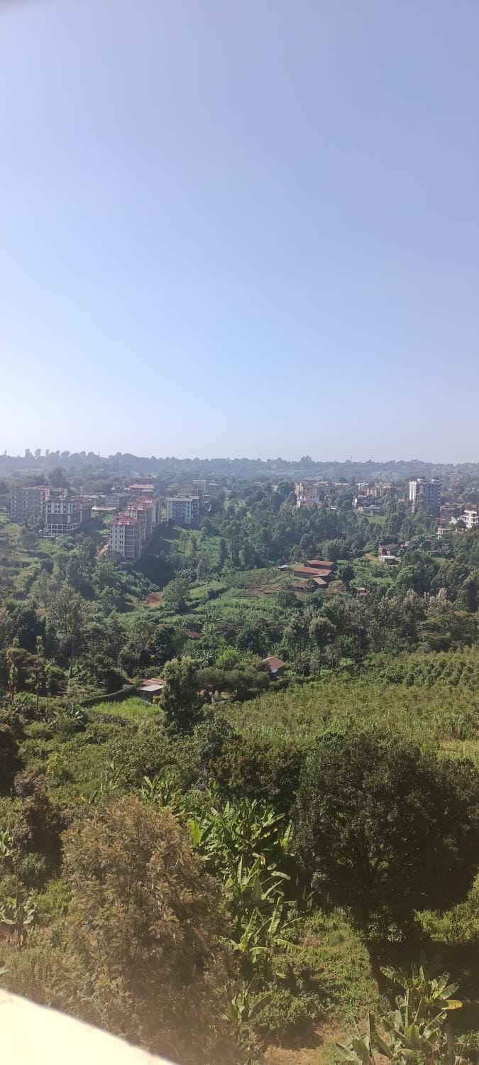 Natural landscape, Bird's eye view