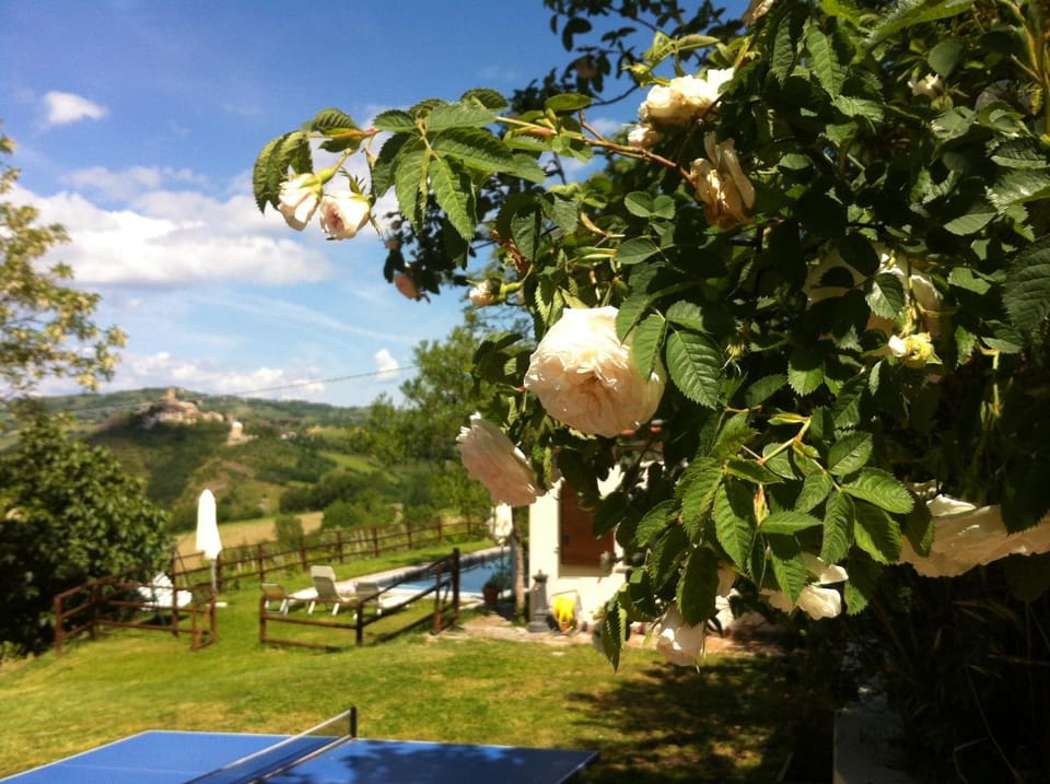 Garden, Table tennis, Garden view, Landmark view, Pool view, Swimming pool