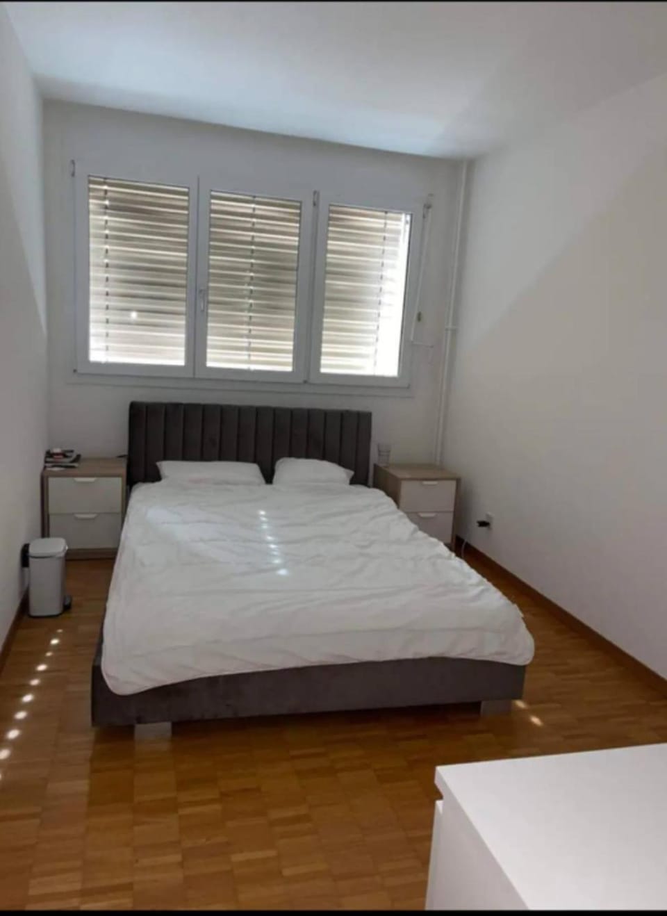 Sherd room in apartment Apartment in Canton of Bern (Region)