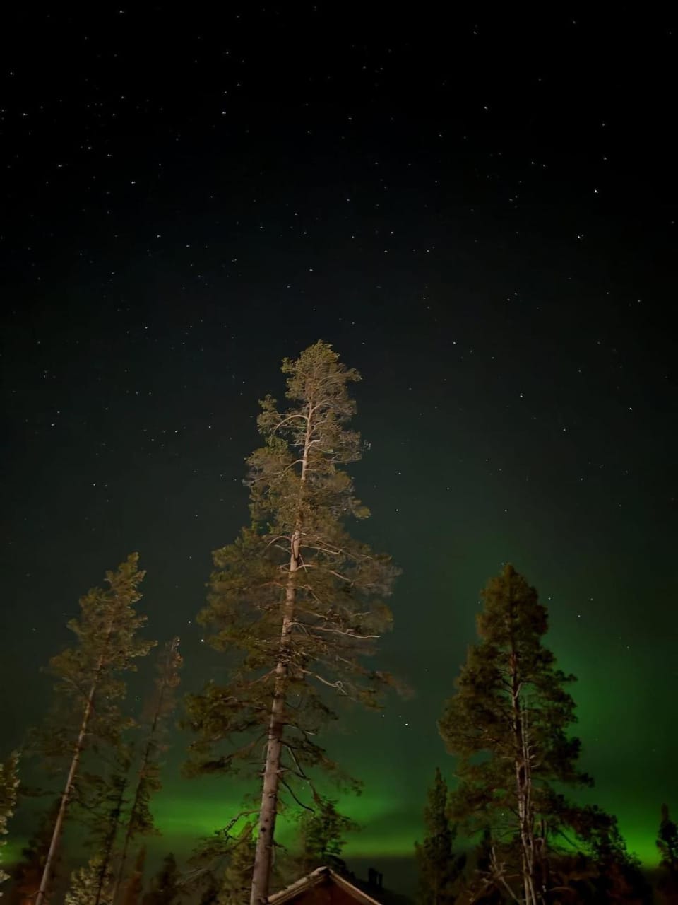 Night, Natural landscape