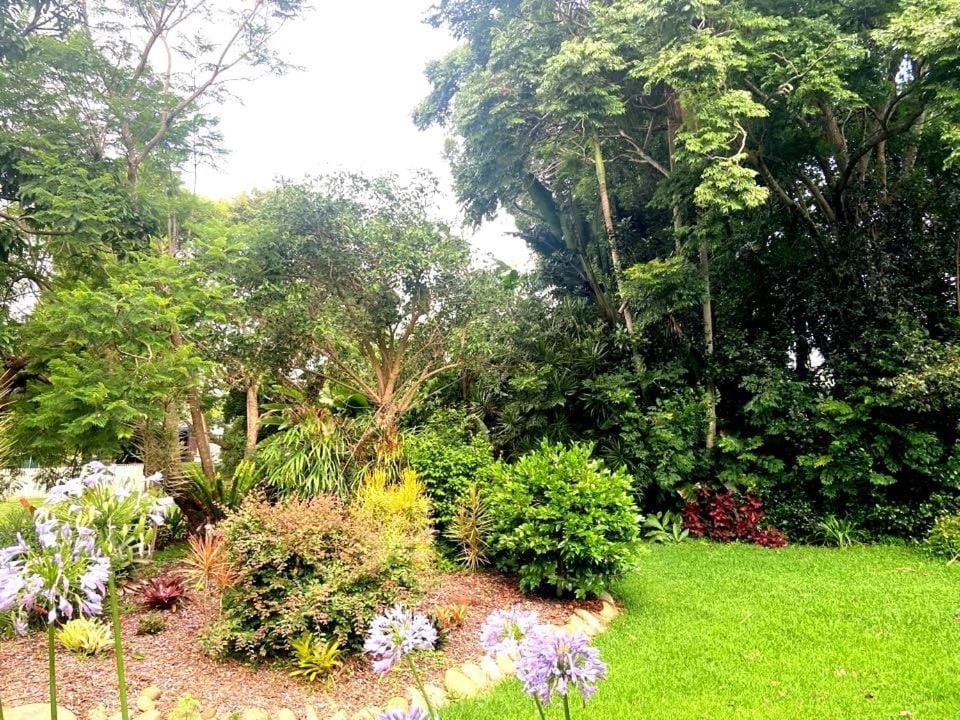The Mountain House House in Tamborine Mountain
