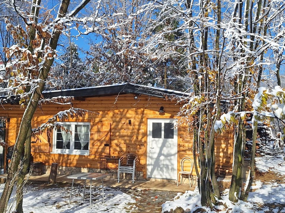 Forest Fairytale House in Federation of Bosnia and Herzegovina