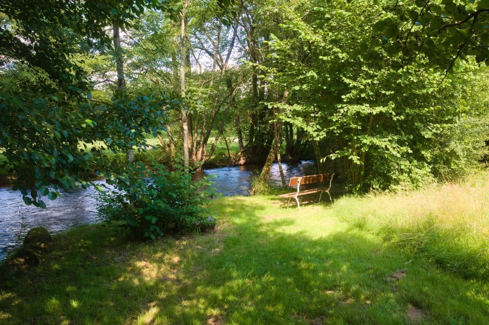 Natural landscape, River view