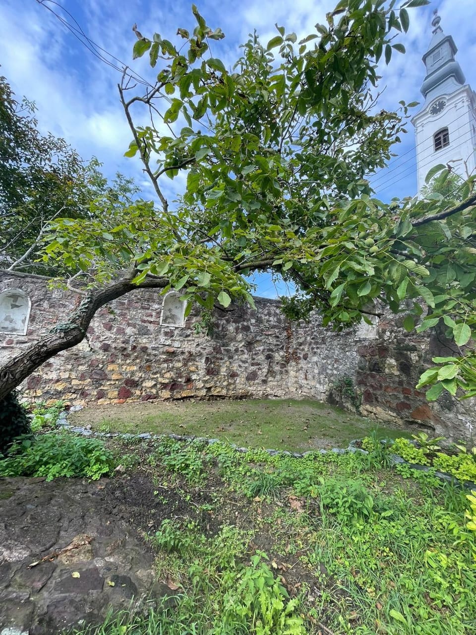 Garden view