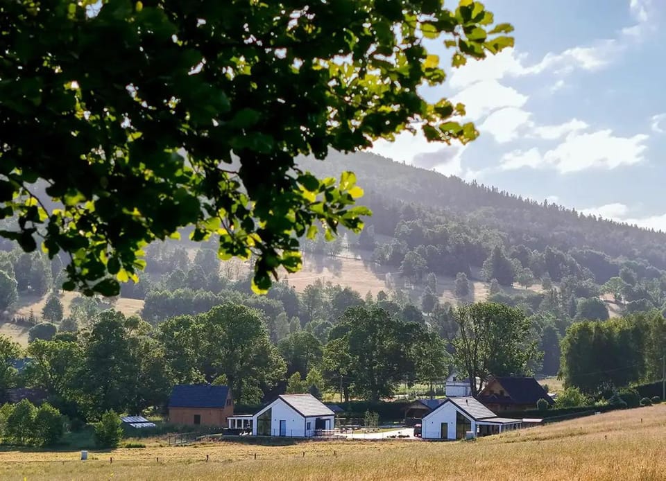 Białe Domy - Stronie Śląskie Villa in Lower Silesian Voivodeship