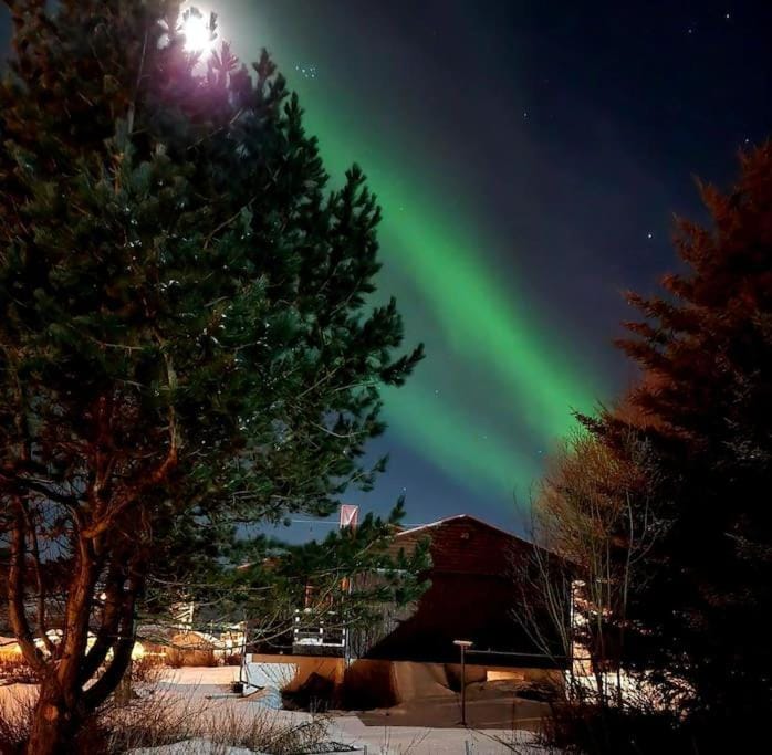 Night, Natural landscape, Winter