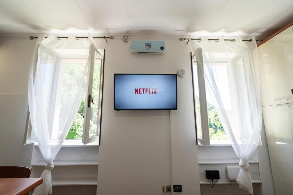 TV and multimedia, internet