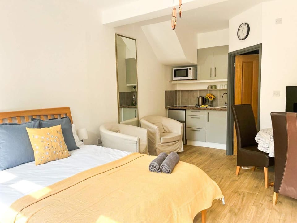 Bed, TV and multimedia, Kitchen or kitchenette, Living room, Photo of the whole room, Seating area, Dining area, Bedroom, stove