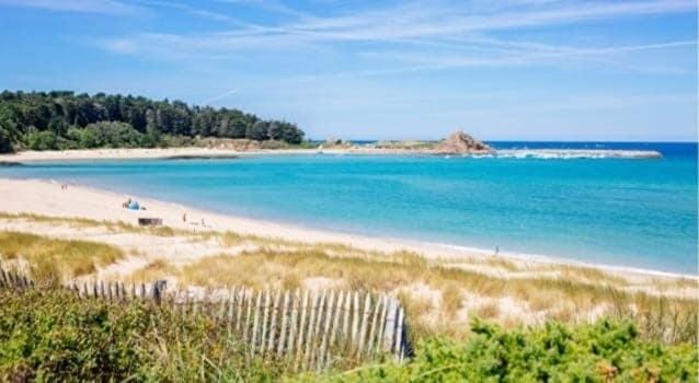 Studio blue whale - sables d'or les pins Apartment in Brittany