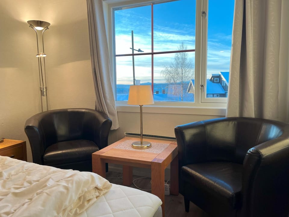 Bitihorn fjellbris Apartment in Innlandet
