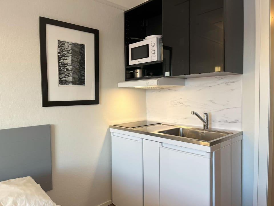 Bitihorn fjelltind Apartment in Innlandet