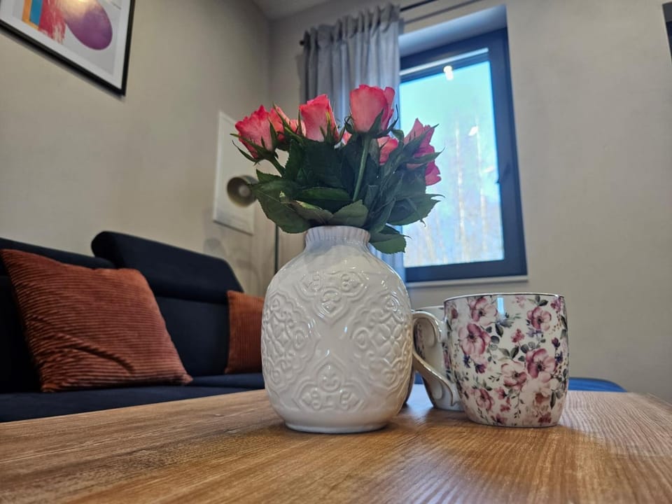 Apartament Vici nad jeziorem Nyskim Apartment in Lower Silesian Voivodeship