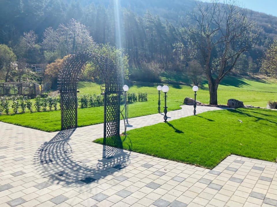 Spring, Day, Natural landscape, Garden, Garden, Garden view