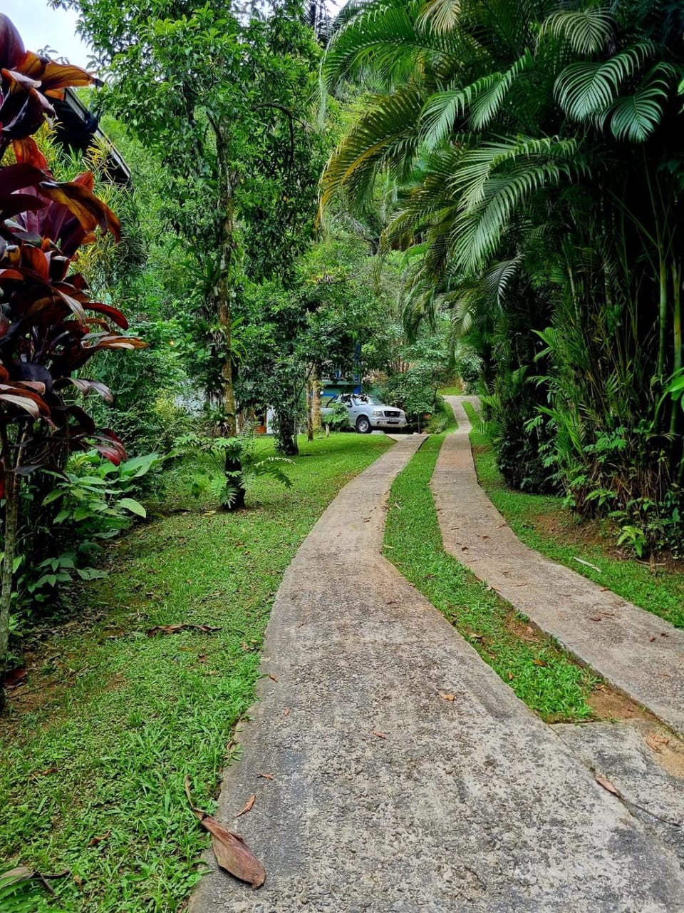 Garden view