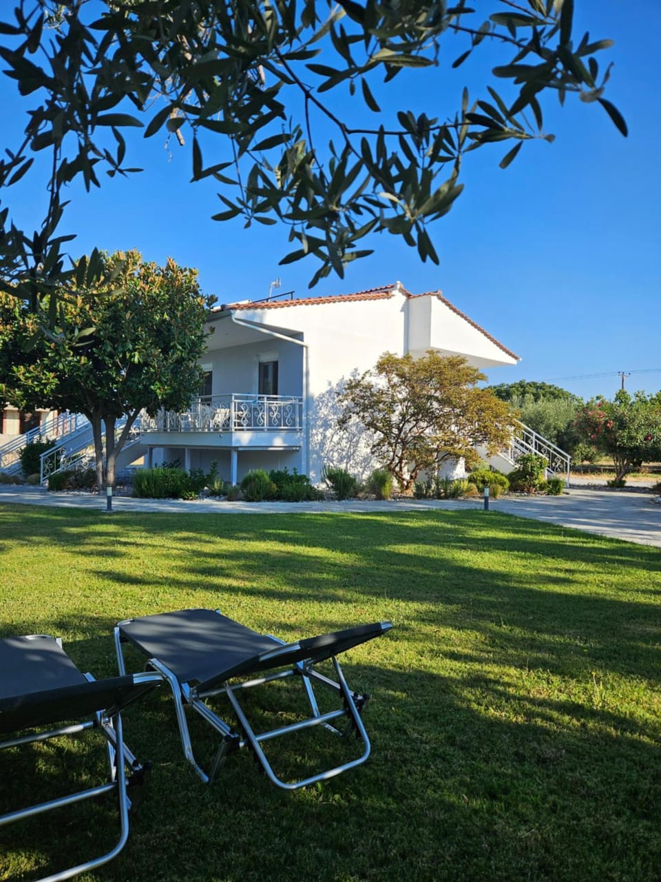 Property building, Garden, Garden view, sunbed