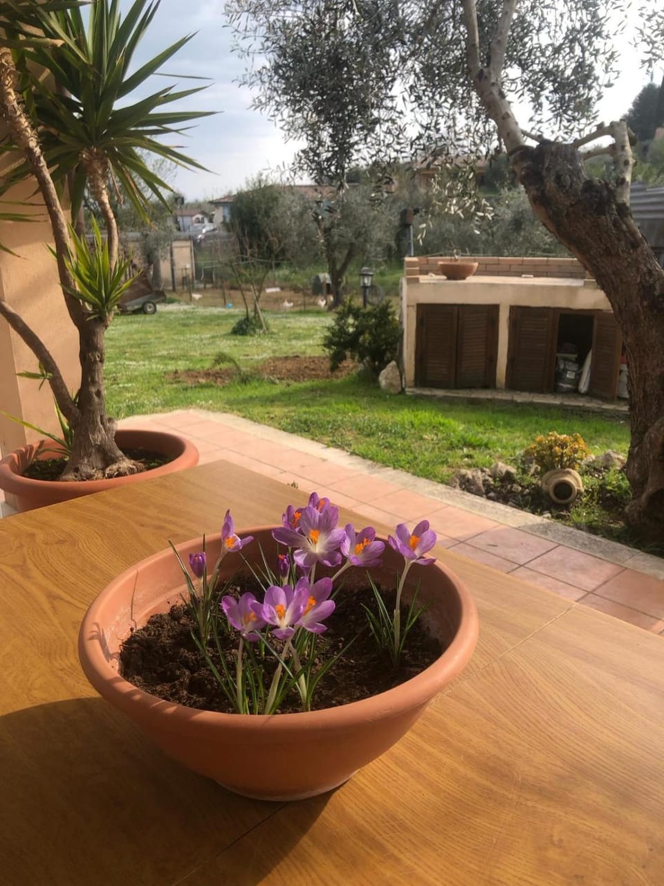 La tana dei Ricci House in Lazio