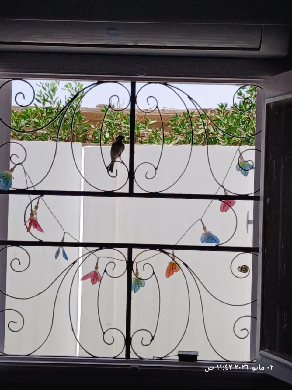 White Rose House Apartment in Luxor Governorate