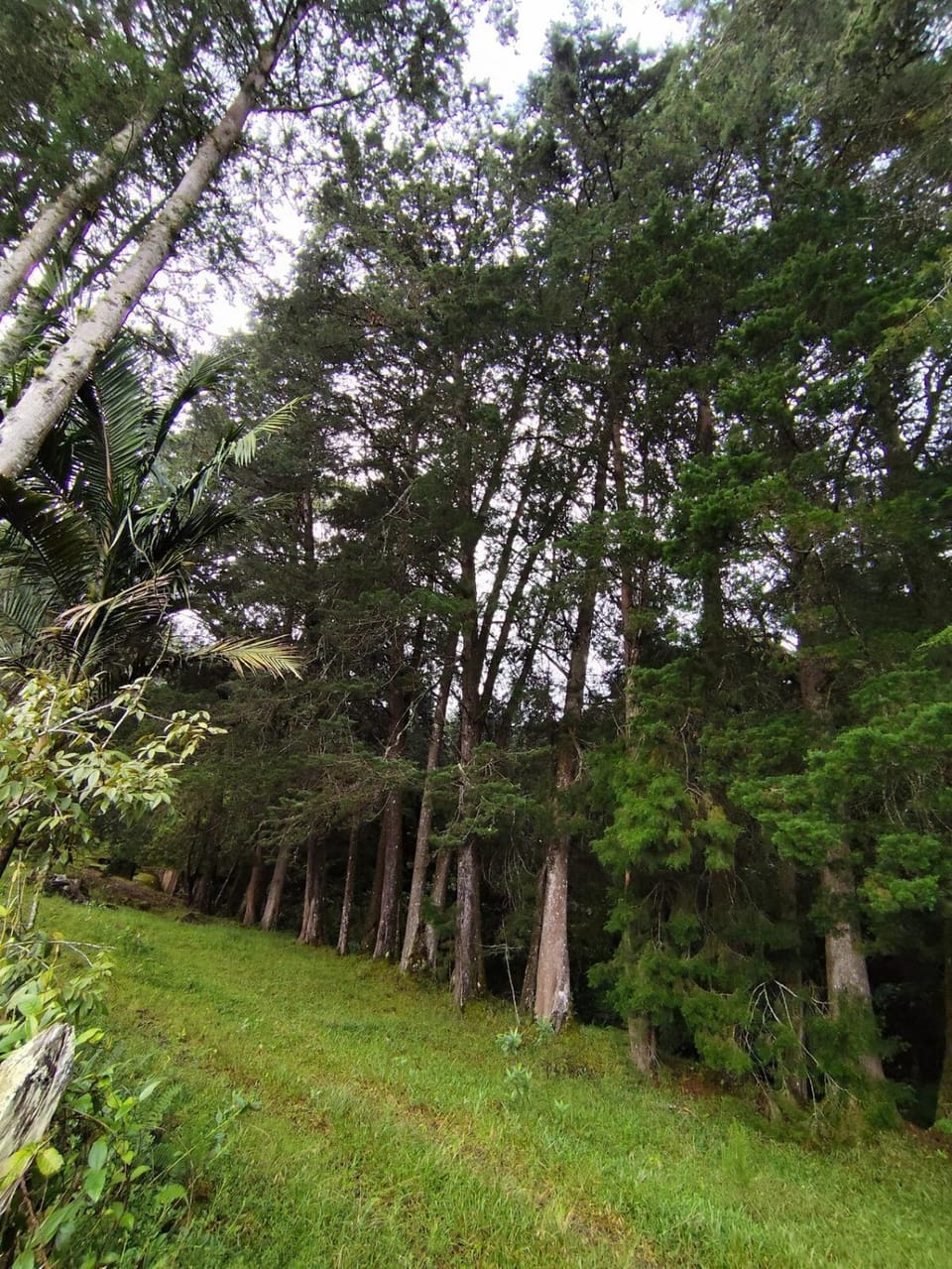 Finca Villa Isaura, Carmen del Viboral Chalet in Antioquia