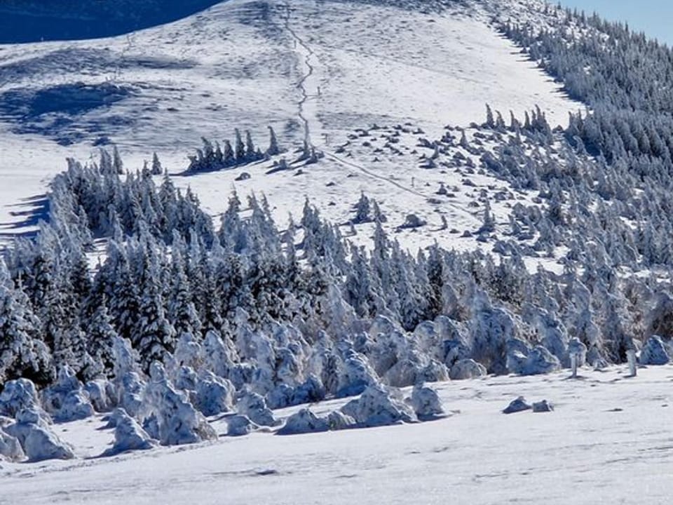 Appartement au pied des pistes avec garage privé - FR-1-814-13 Apartment in Besse-et-Saint-Anastaise