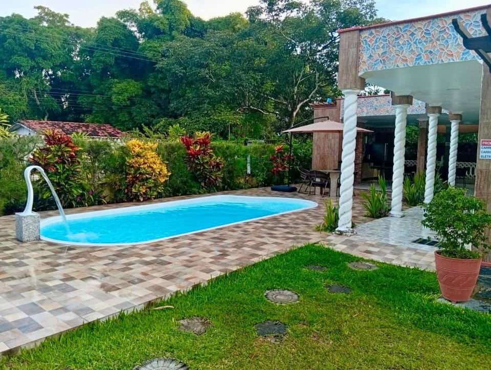 Spring, Natural landscape, Garden, Garden view, Pool view