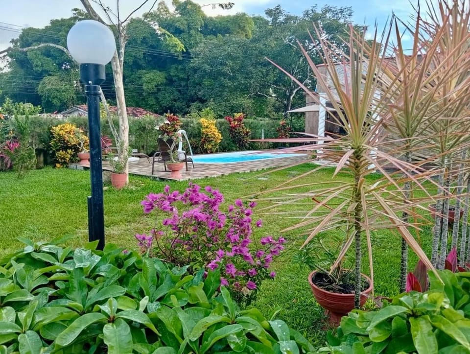 Natural landscape, Garden, Garden view, Swimming pool