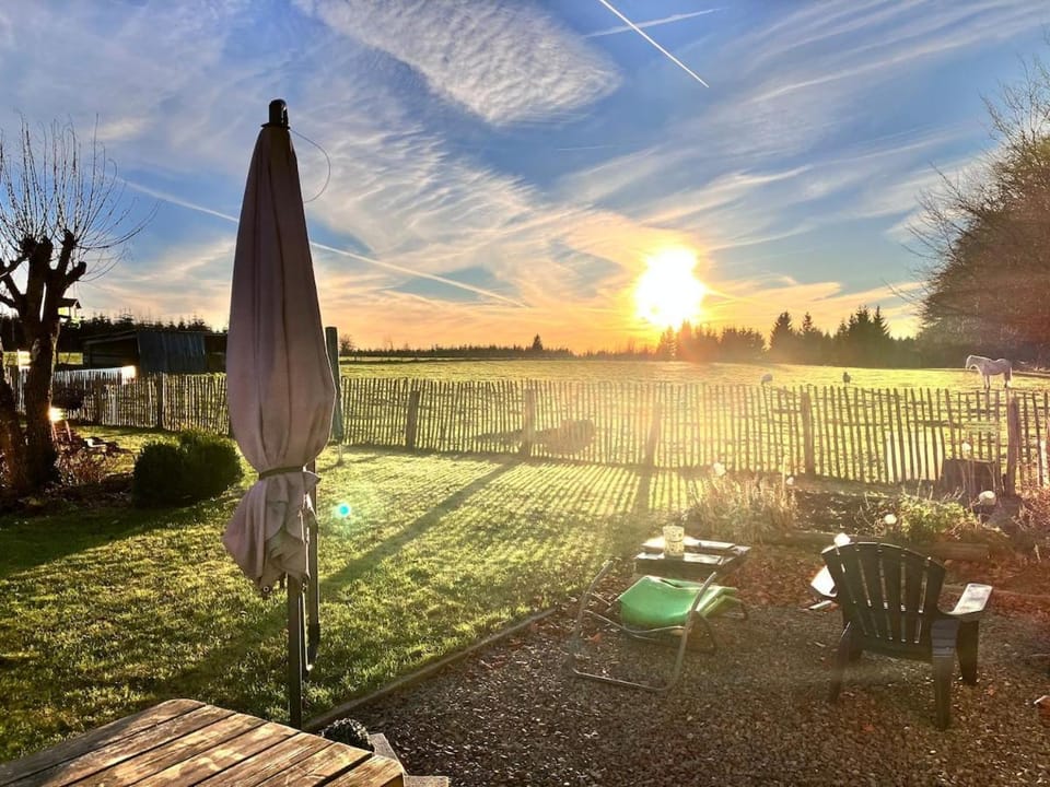 Garden, Garden view, Sunset