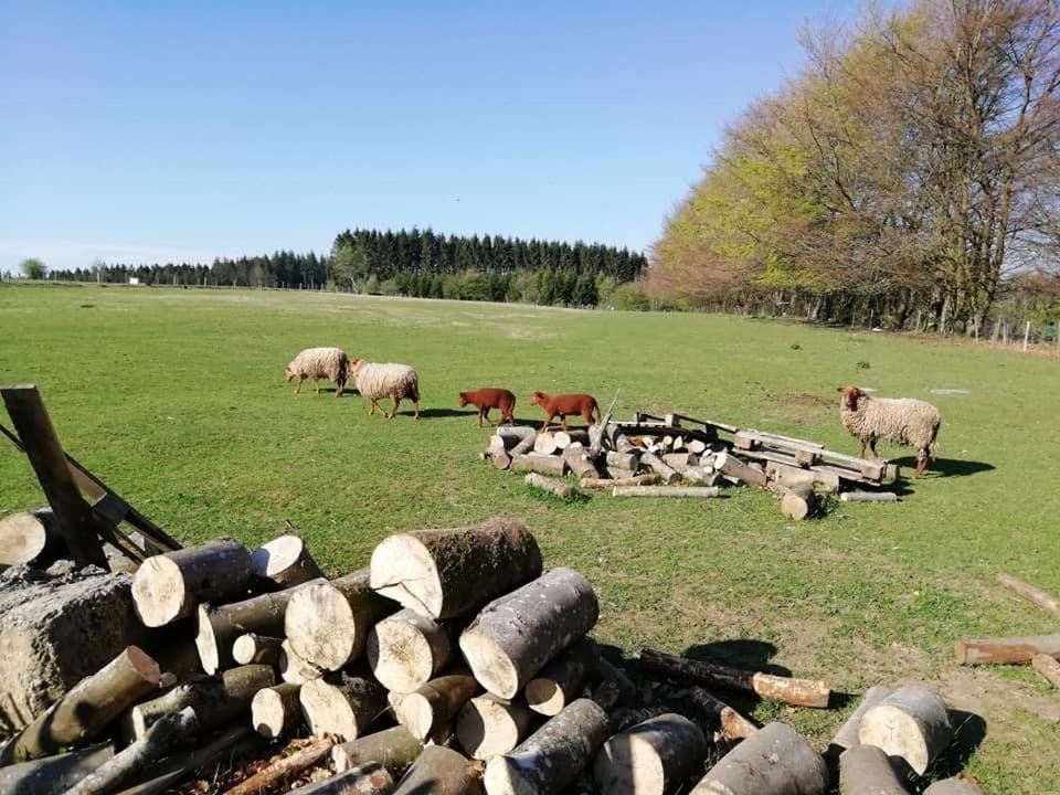 Natural landscape, View (from property/room)