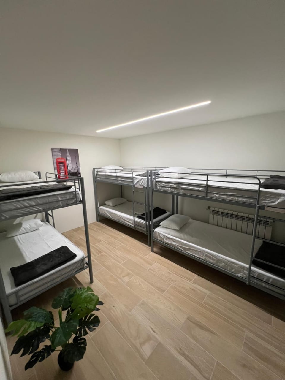 Photo of the whole room, Bedroom, bunk bed