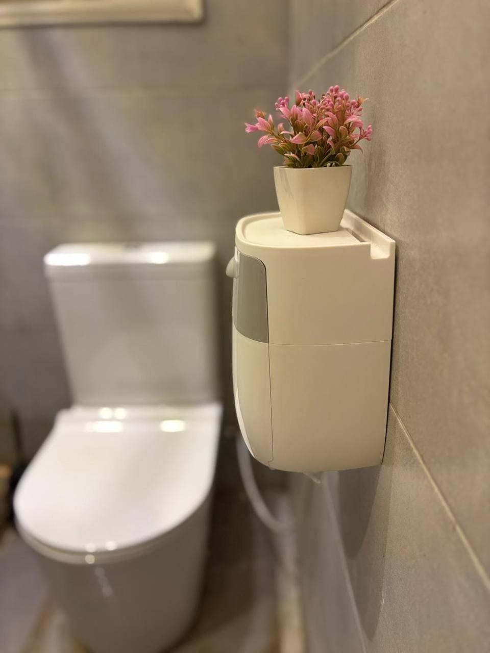 Toilet