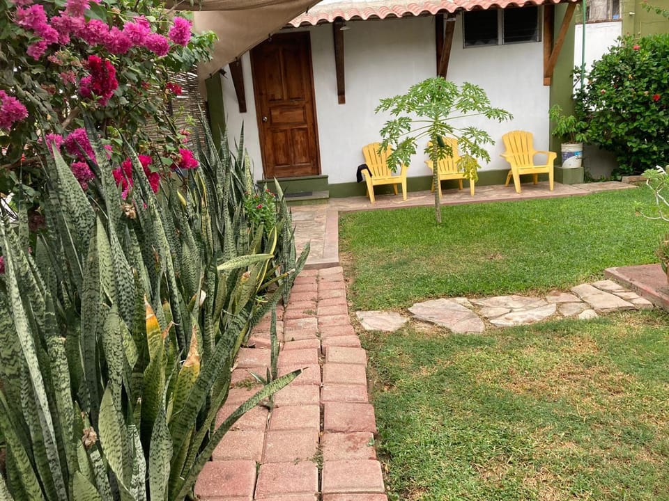 Property building, Garden, Garden view