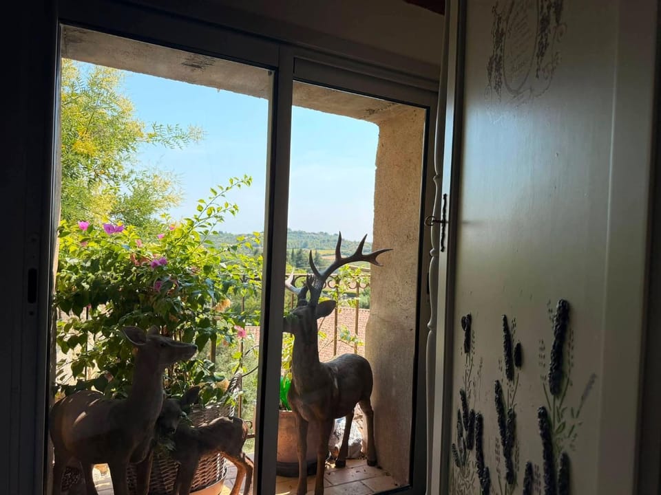 Day, Natural landscape, View (from property/room), Balcony/Terrace, Garden view