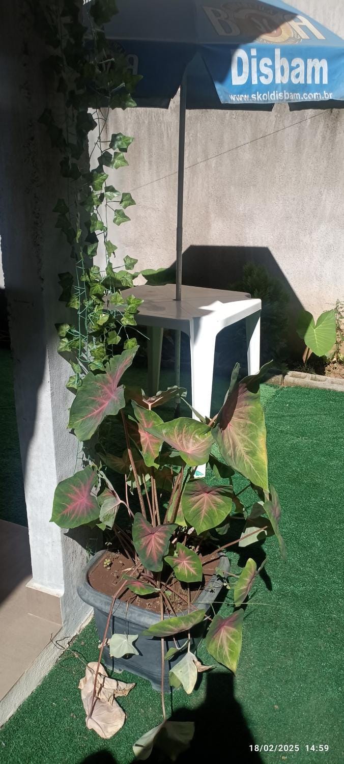 Desativada House in State of Minas Gerais, Brazil