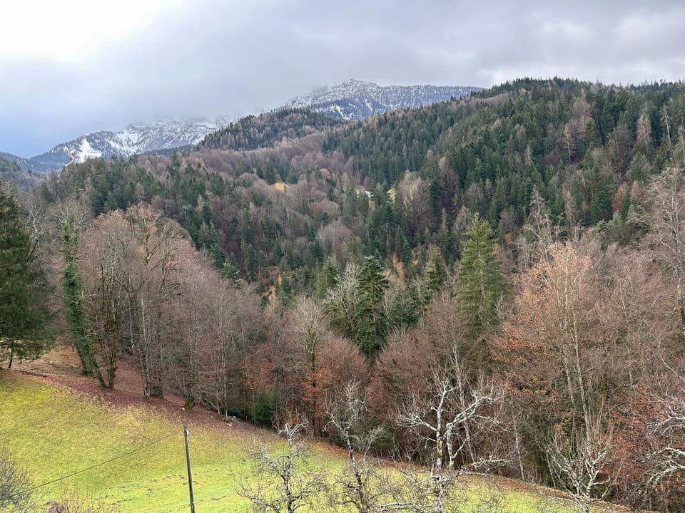 Mountain view