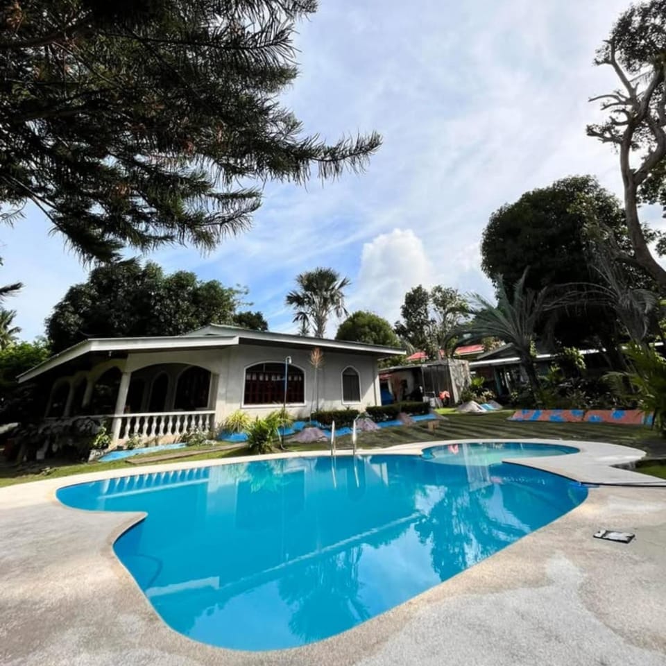Garden, Pool view, Swimming pool, Swimming pool