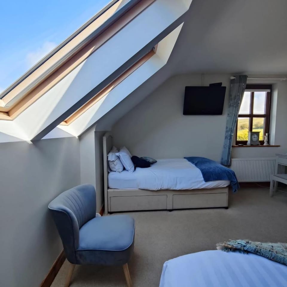 Bed, TV and multimedia, Bedroom