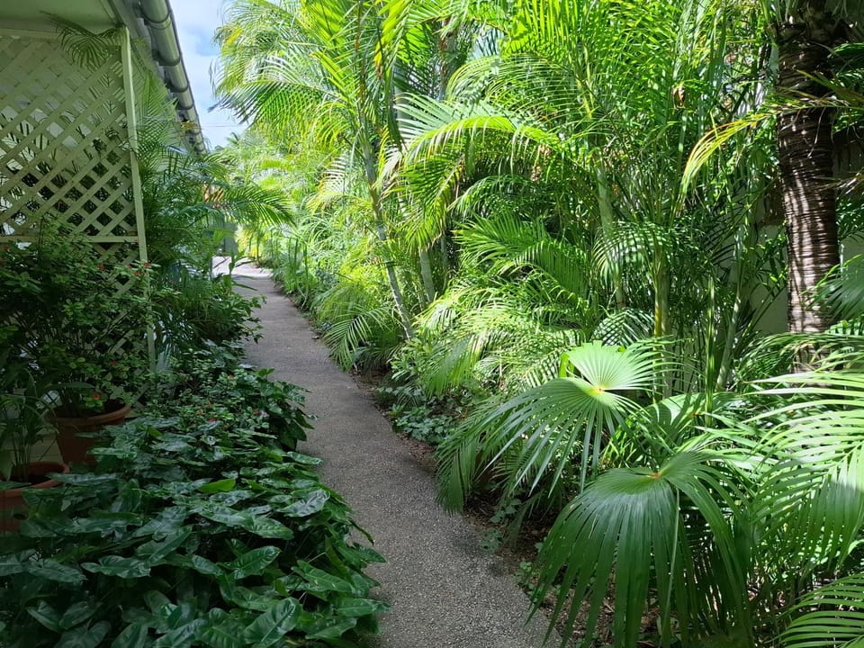Garden view