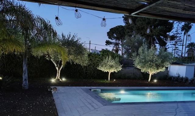 Pool view, Swimming pool