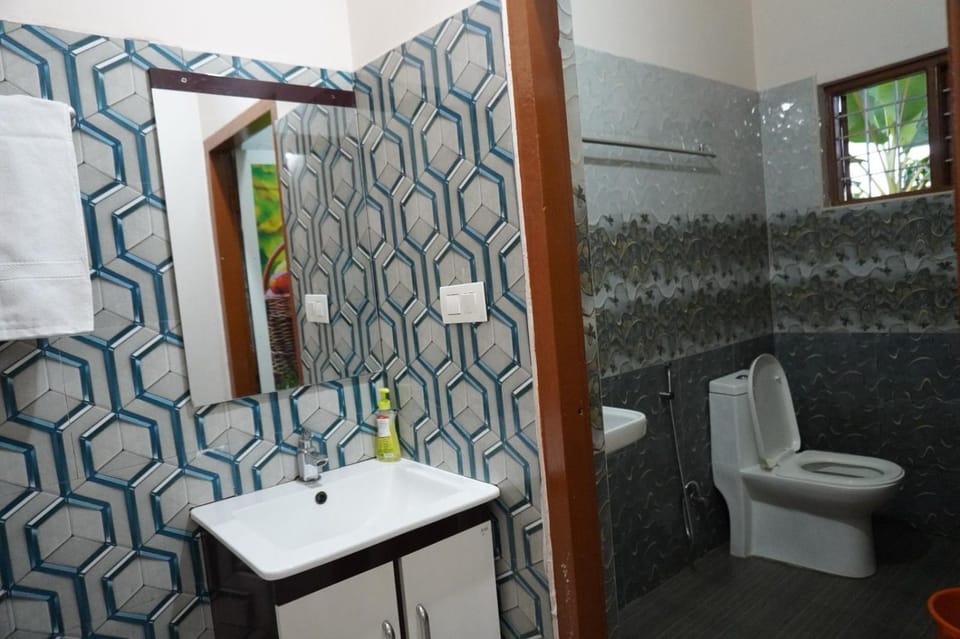 Shower, Toilet, Bathroom, bidet