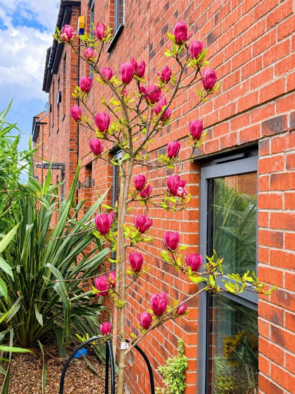 Property building, Spring, Garden, Garden view