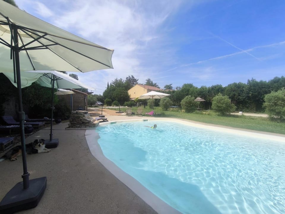 Garden, Pool view, Swimming pool