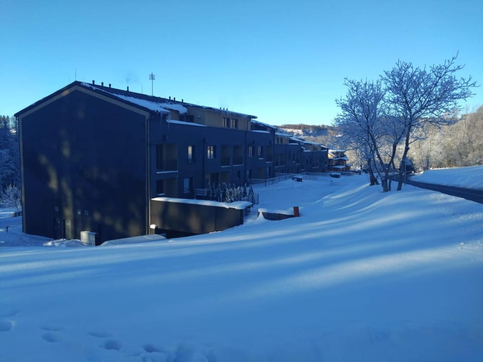 Property building, Winter