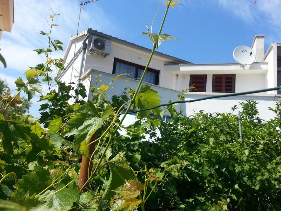 Property building, Day