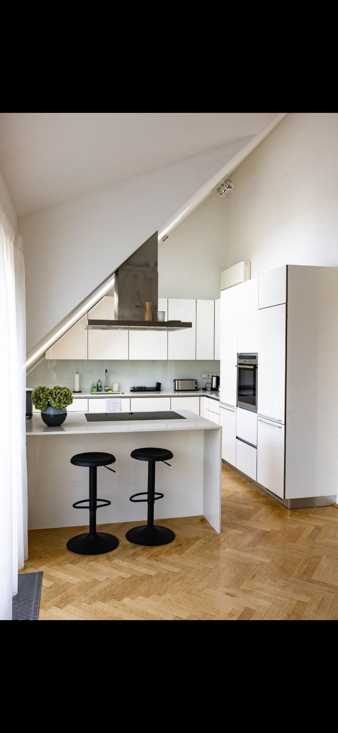 Rooftop Apartment in central Vienna Apartment in Vienna