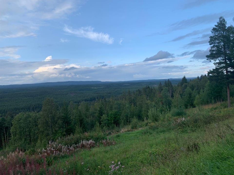 Timmerstugan Dalarna - nära Mora och Orsa Grönklitt House in Sweden