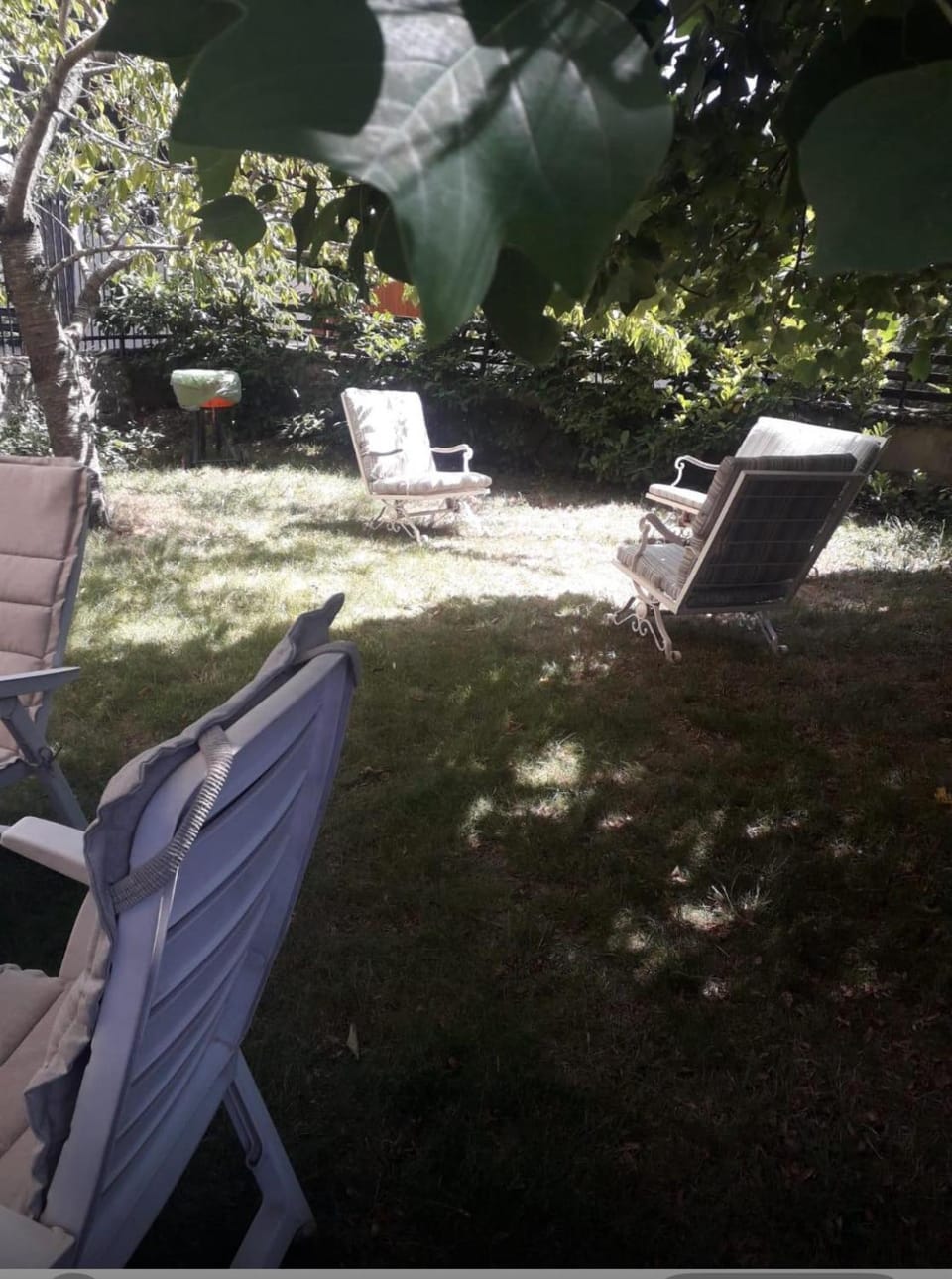 Day, Garden