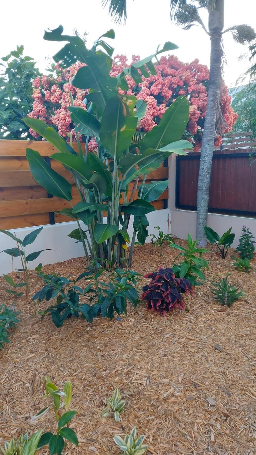 Garden, Garden view