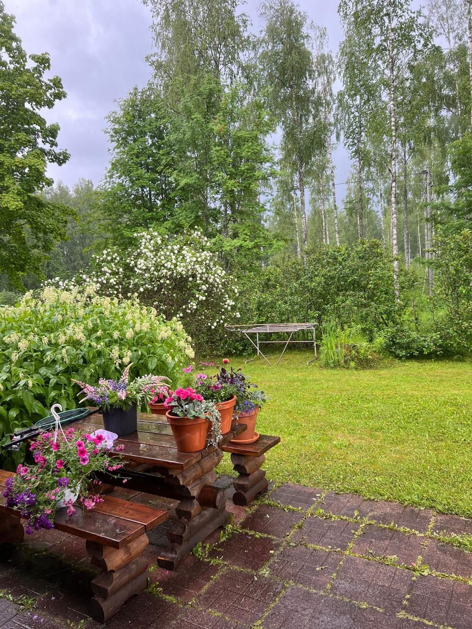Garden view